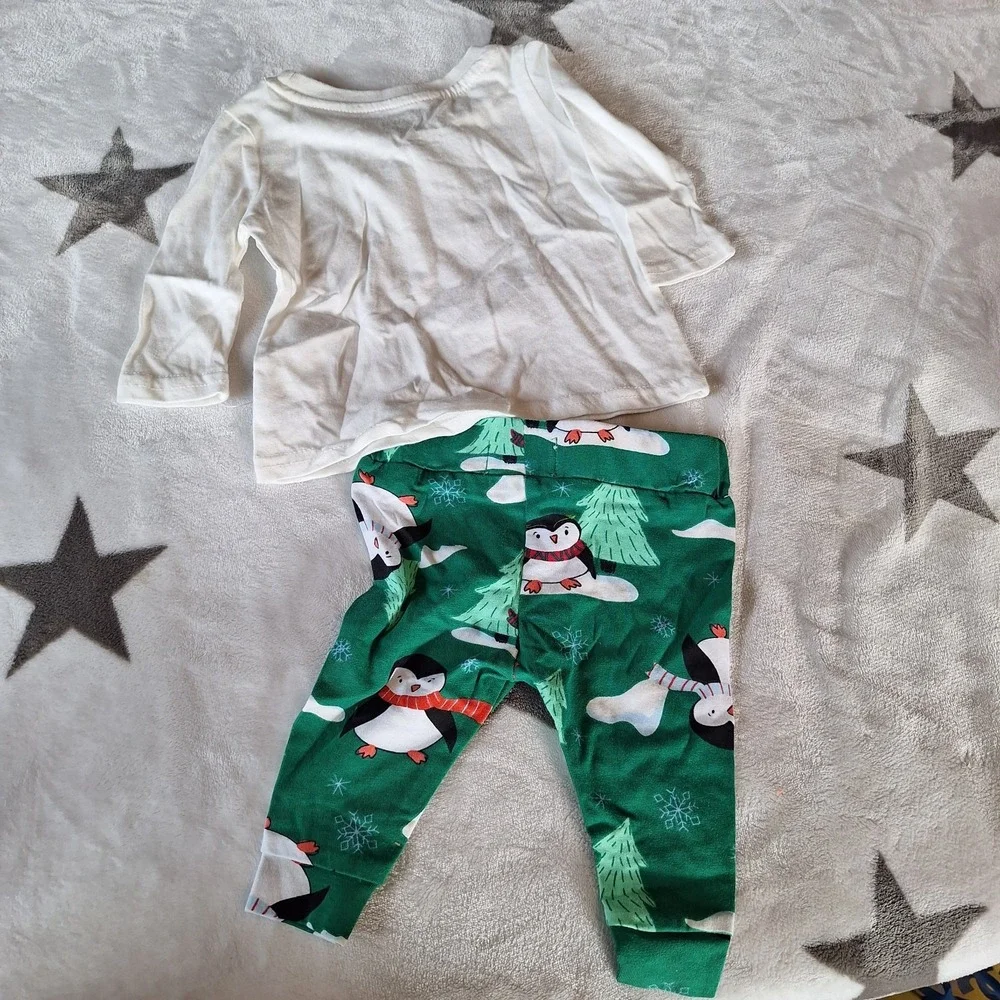 Crown & Ivy Penguin Forest Elm 3M 2 Piece Set Winter‎ Christmas Pictures